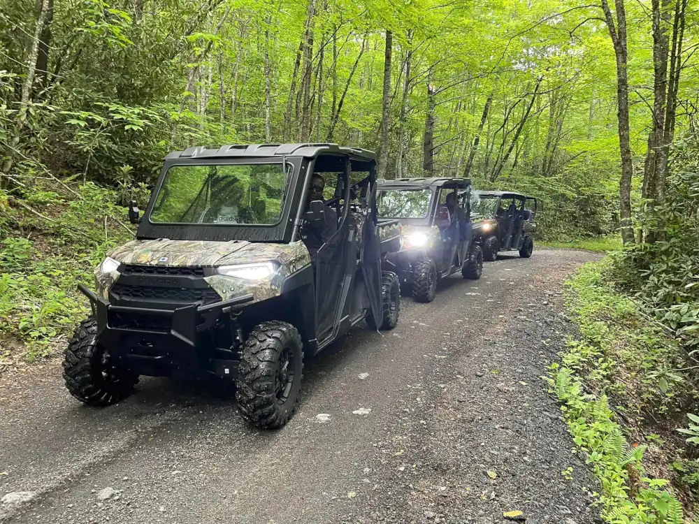3 UTVs driving up a path surrounded by green trees